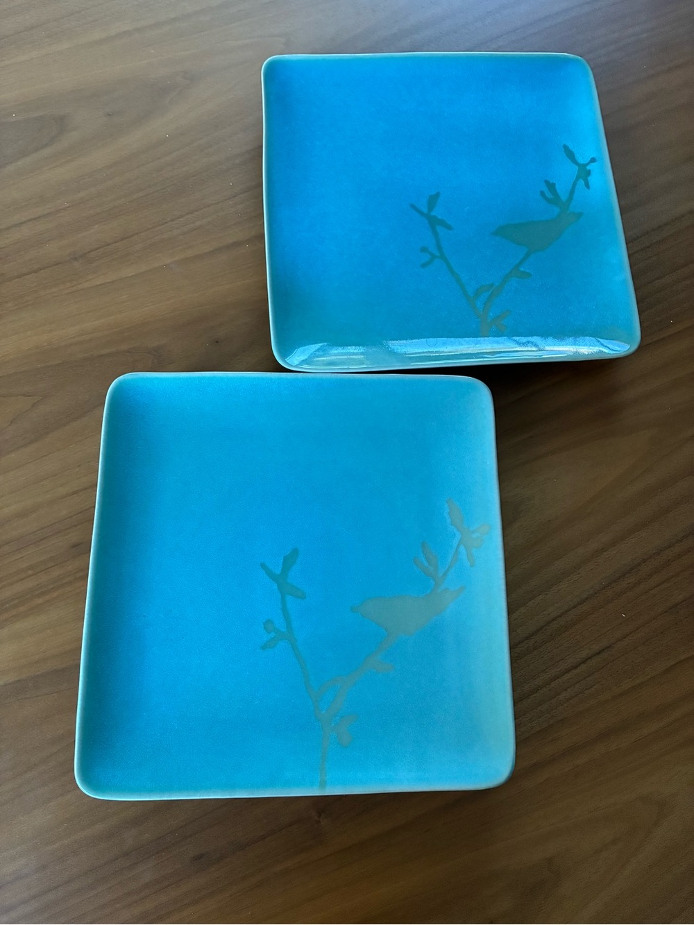 Ceramic Glazed Serving Plates - 2
